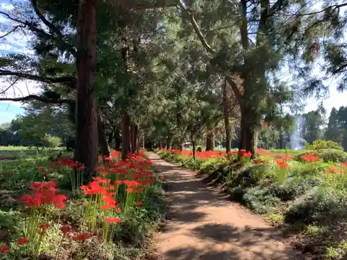 熊野神社のその他建物