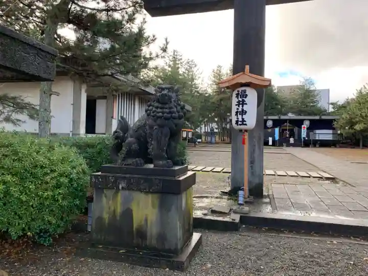 福井神社の狛犬