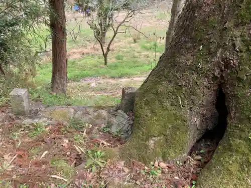 熊野神社の自然