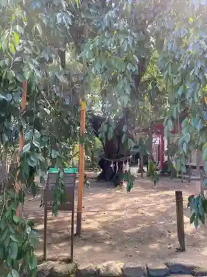 小川諏訪神社(福島県)