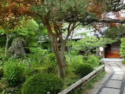 當麻寺 宗胤院の庭園