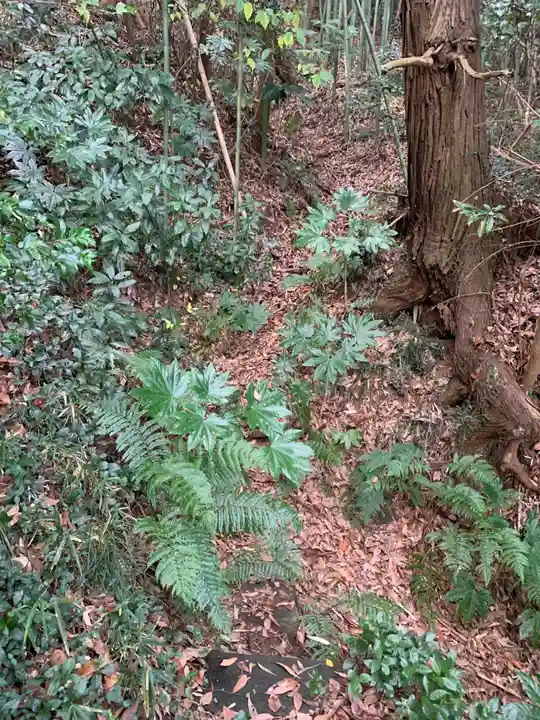 金刀比羅宮(千葉県)