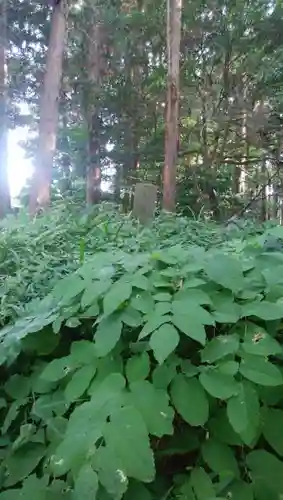 巌島神社の自然