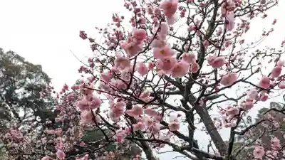 長岡天満宮(京都府)