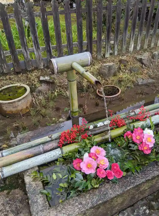 二尊院(京都府)