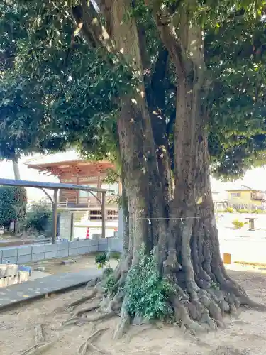 御嶽神社の{uncategorized: "未分類", other: "その他", undefined: "問題あり", building: "その他建物", grave: "お墓", sacred_gate: "鳥居", guardian: "狛犬", statue: "像", buddha: "仏像", history: "歴史", nature: "自然", garden: "庭園", animal: "動物", pagoda: "塔", temizu: "手水舎", mountain_gate: "山門・神門", sanctuary: "本殿・本堂", subordinate: "末社・摂社", art: "芸術", scenery: "景色", jizo: "地蔵", ema: "絵馬", goshuin: "御朱印", omikuji: "おみくじ", items: "授与品その他", amulet: "お守り", goshuincho: "御朱印帳", eats: "食事", festival: "お祭り", votive_dance: "神楽", shichigosan: "七五三参", wedding: "結婚式", experience: "体験その他", initially: "初詣", around: "周辺", anti_infection: "感染症対策"}
