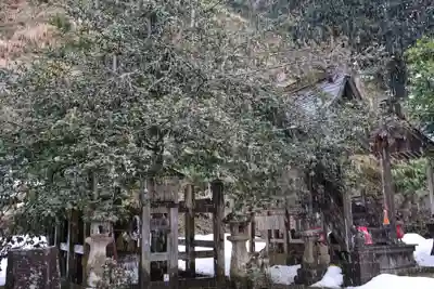須我神社(島根県)