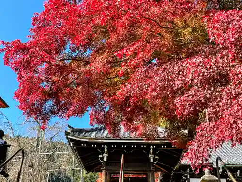 善峯寺の末社