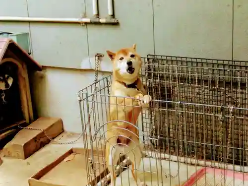 薬王寺(千葉県)