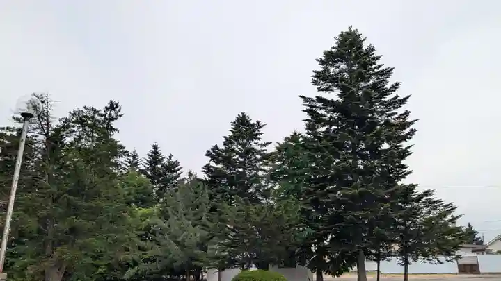 鹿追神社の自然