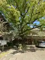 温泉山 安楽寺(四国霊場第六番札所)(徳島県)
