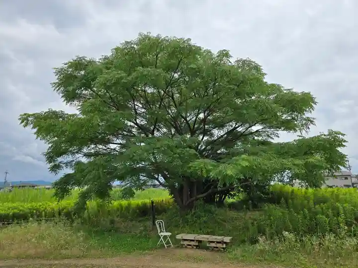 大安寺(奈良県)