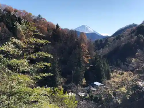 金櫻神社の景色