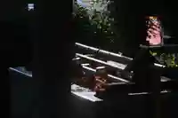 豊景神社の手水舎