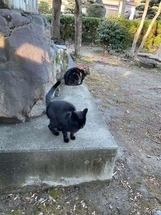 冨士天満社(冨士大権現天満天神宮)(愛知県)