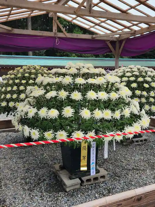 彌彦神社の庭園