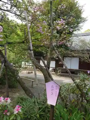 平野神社(京都府)