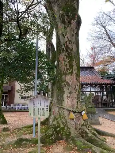 郡家神社の自然