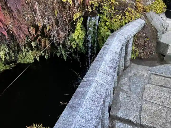銭洗弁財天宇賀福神社の庭園