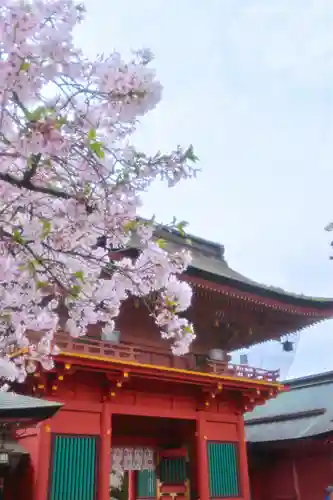 富士山本宮浅間大社(静岡県)