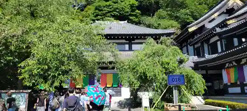 長谷寺のその他建物