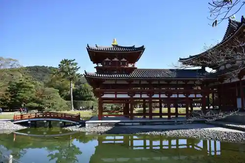 平等院の本殿・本堂