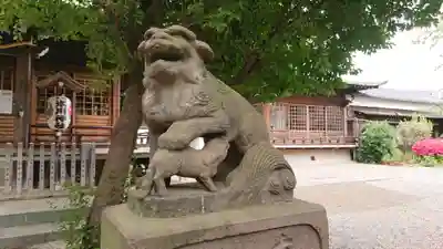 本郷氷川神社の狛犬