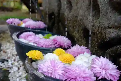 竹神社(三重県)