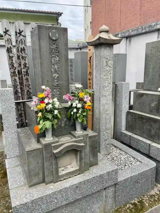 正洞院の{uncategorized: "未分類", other: "その他", undefined: "問題あり", building: "その他建物", grave: "お墓", sacred_gate: "鳥居", guardian: "狛犬", statue: "像", buddha: "仏像", history: "歴史", nature: "自然", garden: "庭園", animal: "動物", pagoda: "塔", temizu: "手水舎", mountain_gate: "山門・神門", sanctuary: "本殿・本堂", subordinate: "末社・摂社", art: "芸術", scenery: "景色", jizo: "地蔵", ema: "絵馬", goshuin: "御朱印", omikuji: "おみくじ", items: "授与品その他", amulet: "お守り", goshuincho: "御朱印帳", eats: "食事", festival: "お祭り", votive_dance: "神楽", shichigosan: "七五三参", wedding: "結婚式", experience: "体験その他", initially: "初詣", around: "周辺", anti_infection: "感染症対策"}
