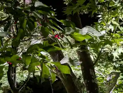 真照寺(福島県)