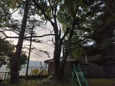 王子神社の{uncategorized: "未分類", other: "その他", undefined: "問題あり", building: "その他建物", grave: "お墓", sacred_gate: "鳥居", guardian: "狛犬", statue: "像", buddha: "仏像", history: "歴史", nature: "自然", garden: "庭園", animal: "動物", pagoda: "塔", temizu: "手水舎", mountain_gate: "山門・神門", sanctuary: "本殿・本堂", subordinate: "末社・摂社", art: "芸術", scenery: "景色", jizo: "地蔵", ema: "絵馬", goshuin: "御朱印", omikuji: "おみくじ", items: "授与品その他", amulet: "お守り", goshuincho: "御朱印帳", eats: "食事", festival: "お祭り", votive_dance: "神楽", shichigosan: "七五三参", wedding: "結婚式", experience: "体験その他", initially: "初詣", around: "周辺", anti_infection: "感染症対策"}