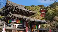 今熊野観音寺(京都府)