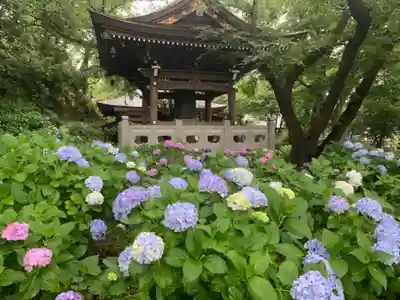 妙楽寺のその他建物