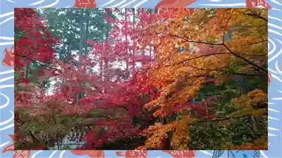 崇禅寺(群馬県)