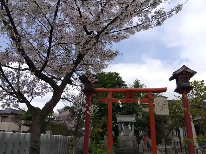 總社 和田八幡宮(福井県)