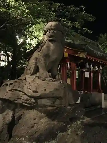 浅草神社の狛犬