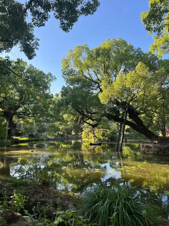 太宰府天満宮(福岡県)