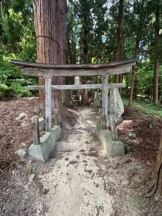 犬の宮猫の宮(山形県)