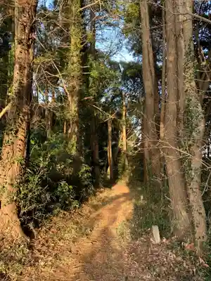 八幡神社の感染症対策