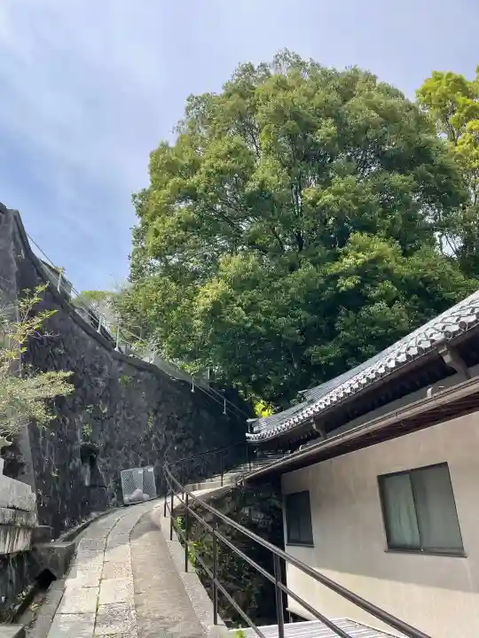 浄土寺の{uncategorized: "未分類", other: "その他", undefined: "問題あり", building: "その他建物", grave: "お墓", sacred_gate: "鳥居", guardian: "狛犬", statue: "像", buddha: "仏像", history: "歴史", nature: "自然", garden: "庭園", animal: "動物", pagoda: "塔", temizu: "手水舎", mountain_gate: "山門・神門", sanctuary: "本殿・本堂", subordinate: "末社・摂社", art: "芸術", scenery: "景色", jizo: "地蔵", ema: "絵馬", goshuin: "御朱印", omikuji: "おみくじ", items: "授与品その他", amulet: "お守り", goshuincho: "御朱印帳", eats: "食事", festival: "お祭り", votive_dance: "神楽", shichigosan: "七五三参", wedding: "結婚式", experience: "体験その他", initially: "初詣", around: "周辺", anti_infection: "感染症対策"}