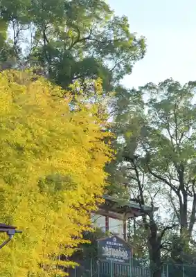 多摩川浅間神社(東京都)