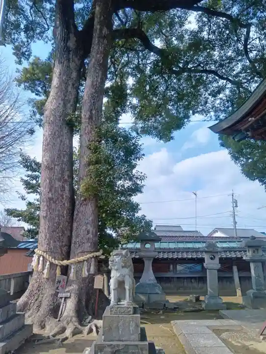 竹鼻八剱神社(八剣神社)(岐阜県)