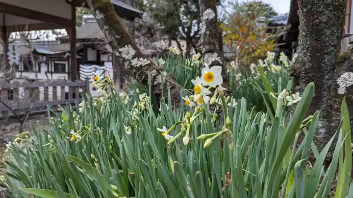 平野神社(京都府)