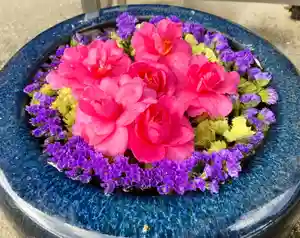 真言宗 善通寺派 薬王寺(香川県)(2022年12月04日(日) 10時12分38秒投稿)