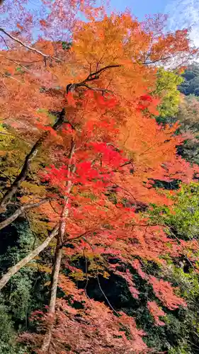 勝尾寺(大阪府)