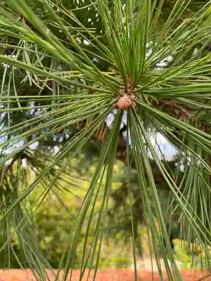 大聖寺（土浦大師不動尊）の庭園