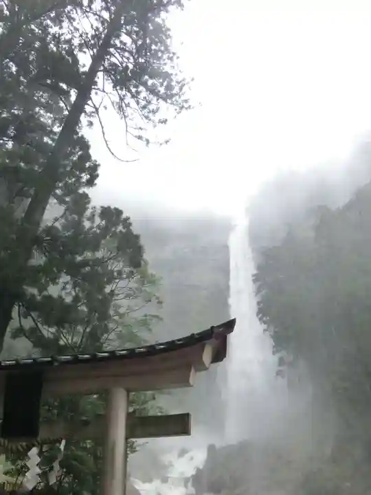 飛瀧神社(熊野那智大社別宮)の自然