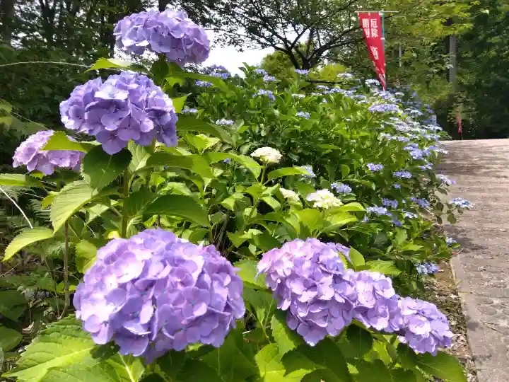 賀茂神社(福井県)