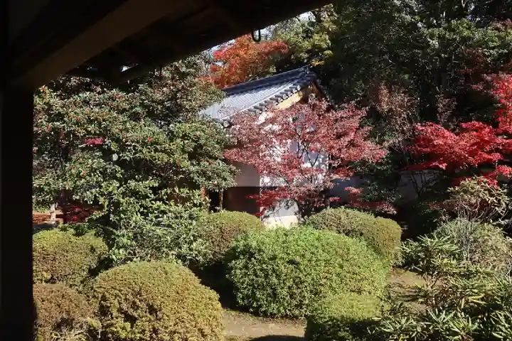隨心院(随心院)の庭園