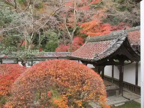 毘沙門堂門跡のその他建物